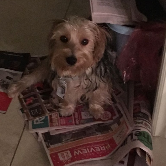 Meet your Posher, Michelle - Picture 4 of 16